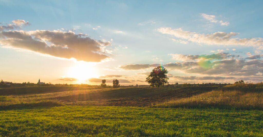 Scenic view of sunset over fields and grassland in Bratca, Romania, capturing rural beauty.
